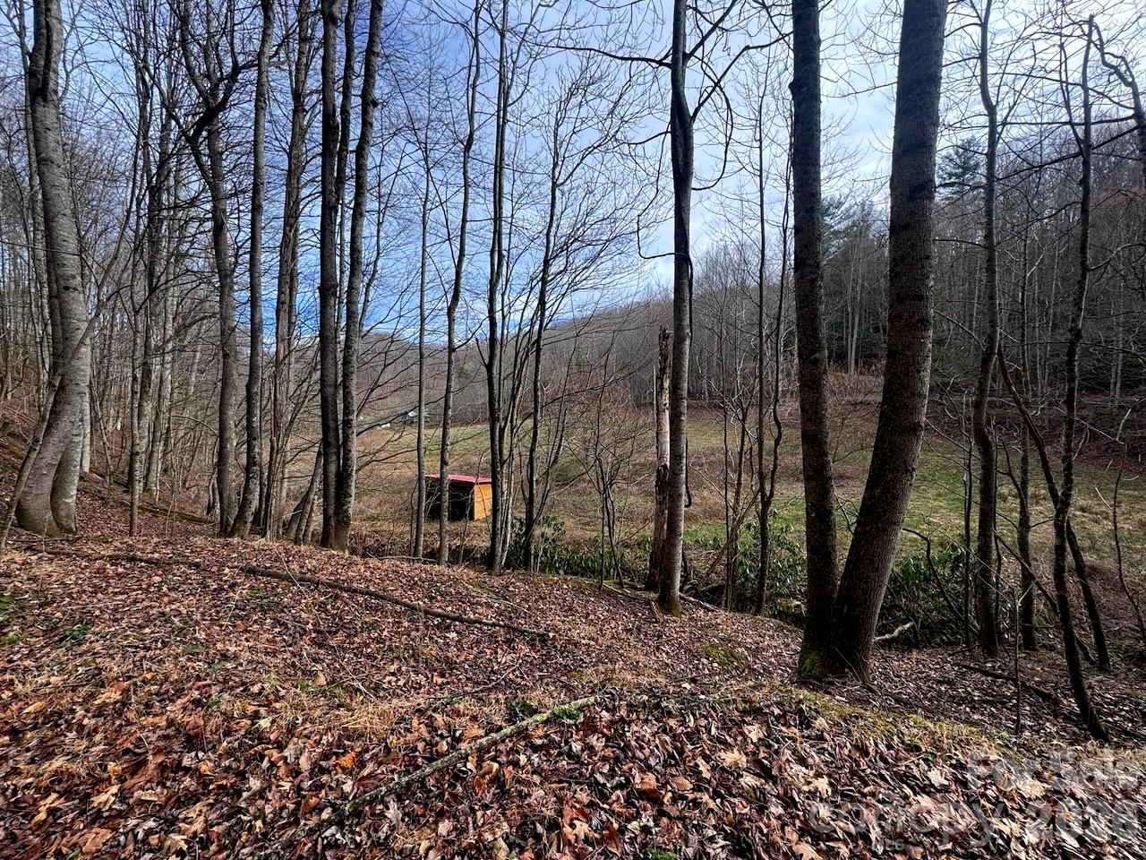 Tbd Sugar Camp Road Marshall NC 28753