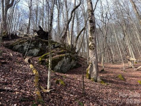 Tbd Sugar Camp Road Marshall NC 28753