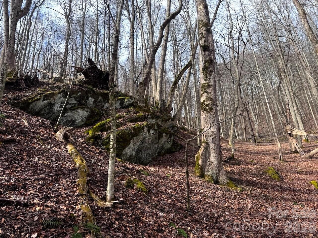 Tbd Sugar Camp Road Marshall NC 28753