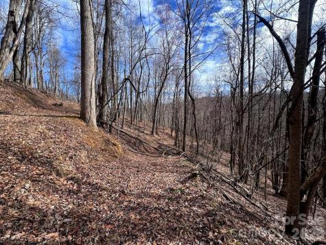 Tbd Sugar Camp Road Marshall NC 28753