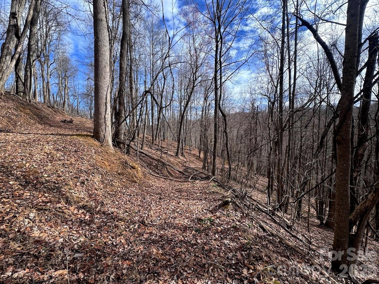 Tbd Sugar Camp Road Marshall NC 28753
