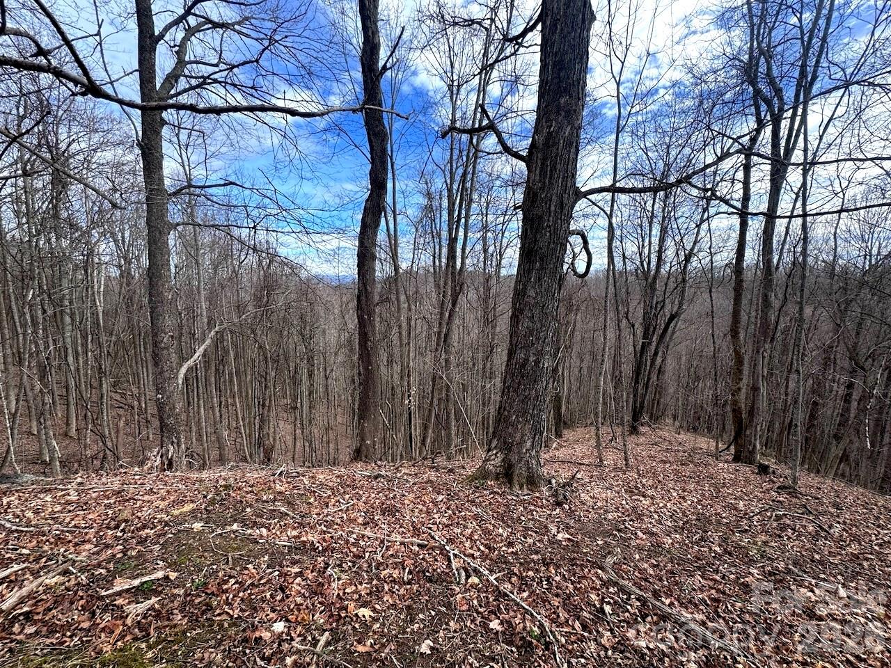 Tbd Sugar Camp Road Marshall NC 28753