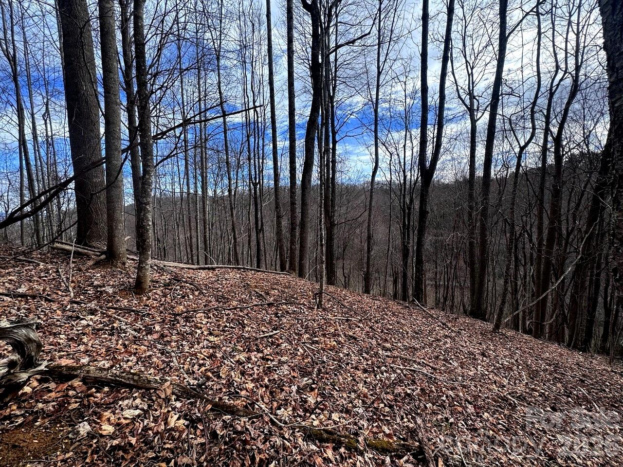 Tbd Sugar Camp Road Marshall NC 28753