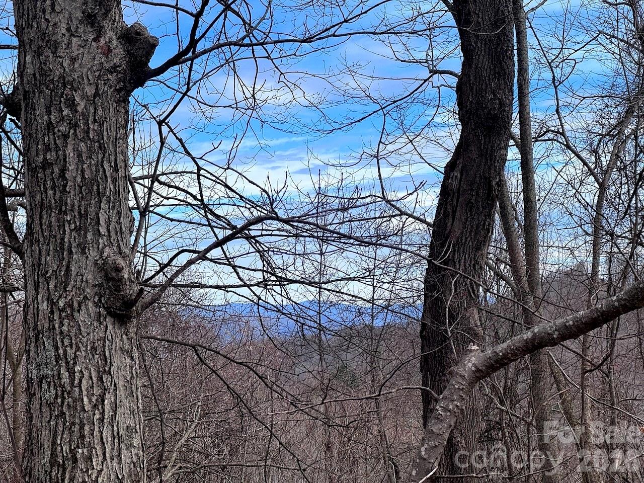 Tbd Sugar Camp Road Marshall NC 28753
