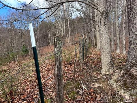 Tbd Sugar Camp Road Marshall NC 28753