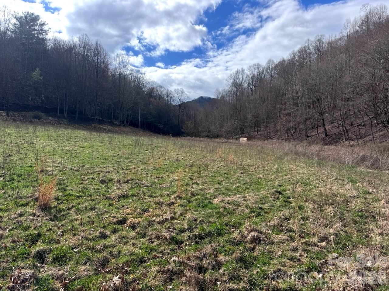 Tbd Sugar Camp Road Marshall NC 28753