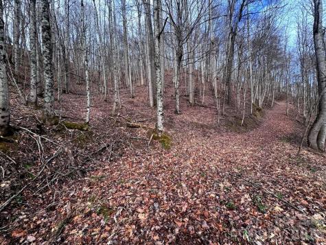 Tbd Sugar Camp Road Marshall NC 28753