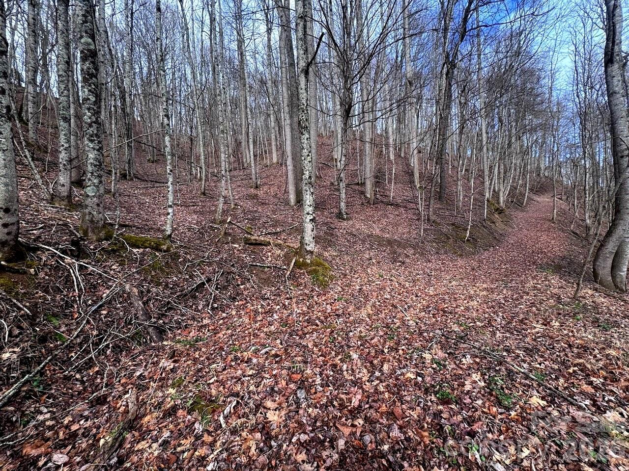 Tbd Sugar Camp Road Marshall NC 28753