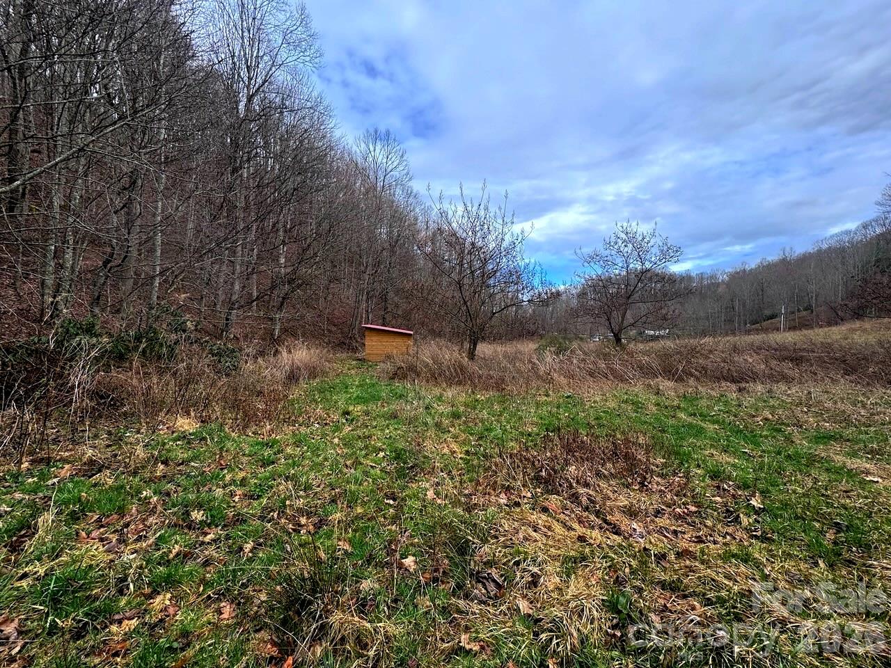 Tbd Sugar Camp Road Marshall NC 28753