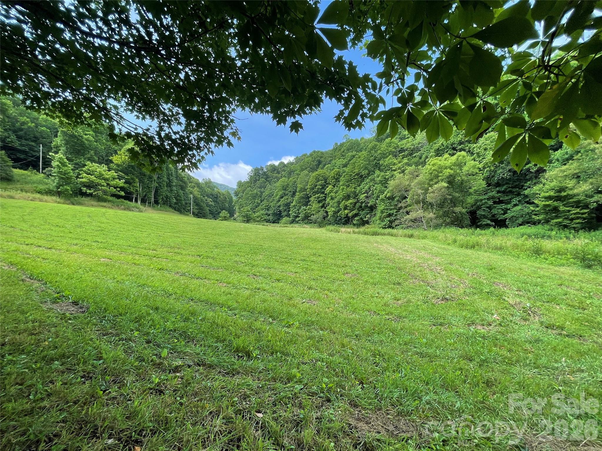 Tbd Sugar Camp Road Marshall NC 28753