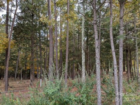 3.447 Acres Spratt Road York SC 29745