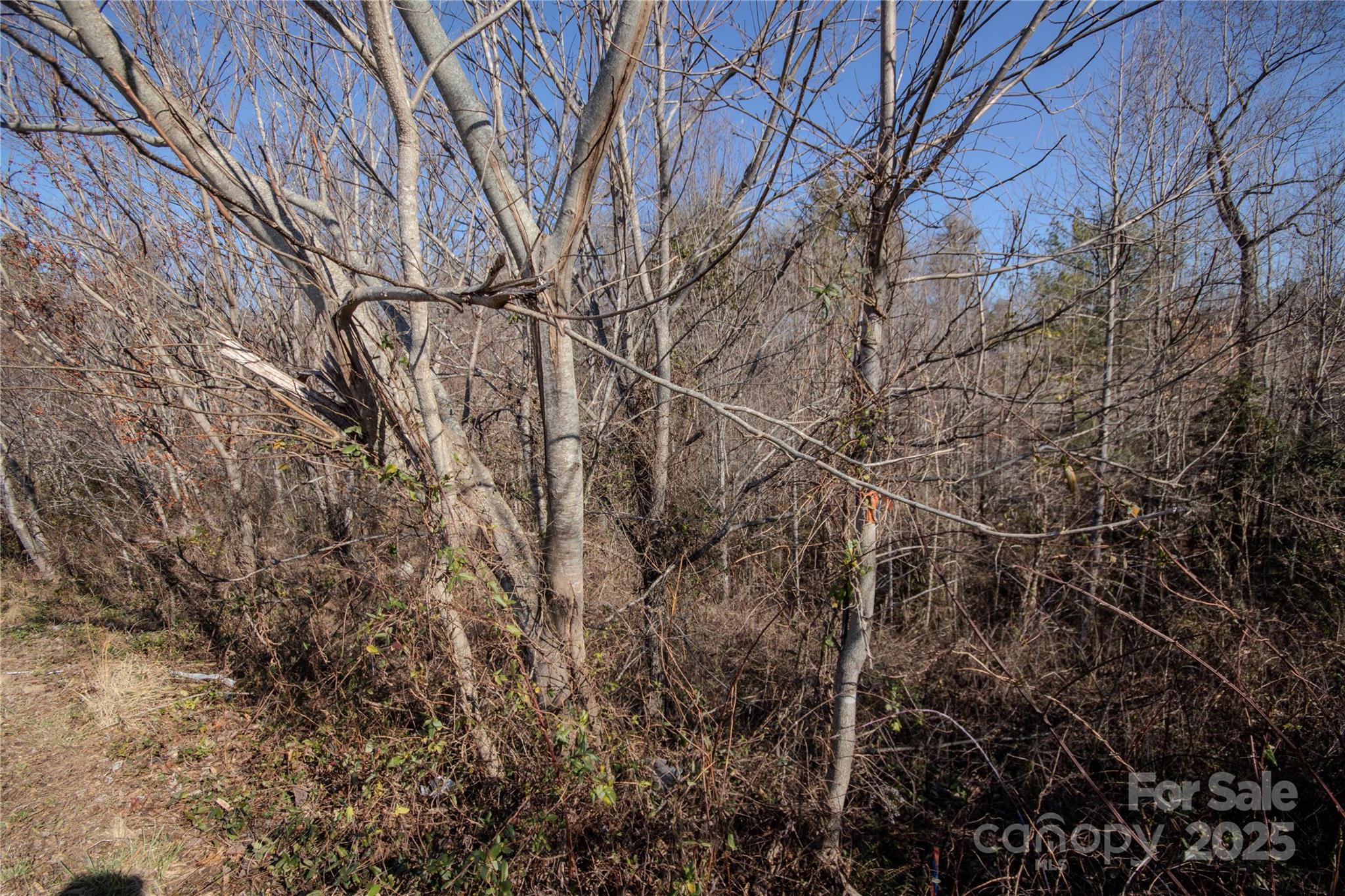 708 Chatsworth Circle SE Lenoir NC 28645