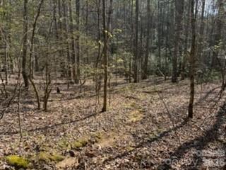 99999 Laura Brooke Drive Penrose NC 28766