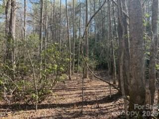 99999 Laura Brooke Drive Penrose NC 28766