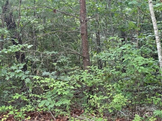 68 Cottage Settings Lane Black Mountain NC 28711