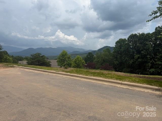 68 Cottage Settings Lane Black Mountain NC 28711