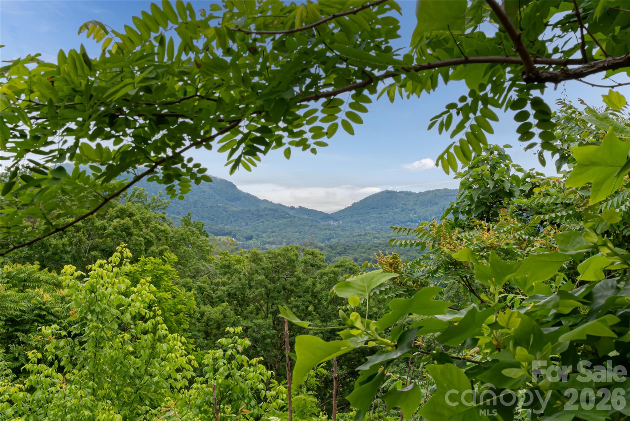 22 Samuel Ashe Drive Asheville NC 28805