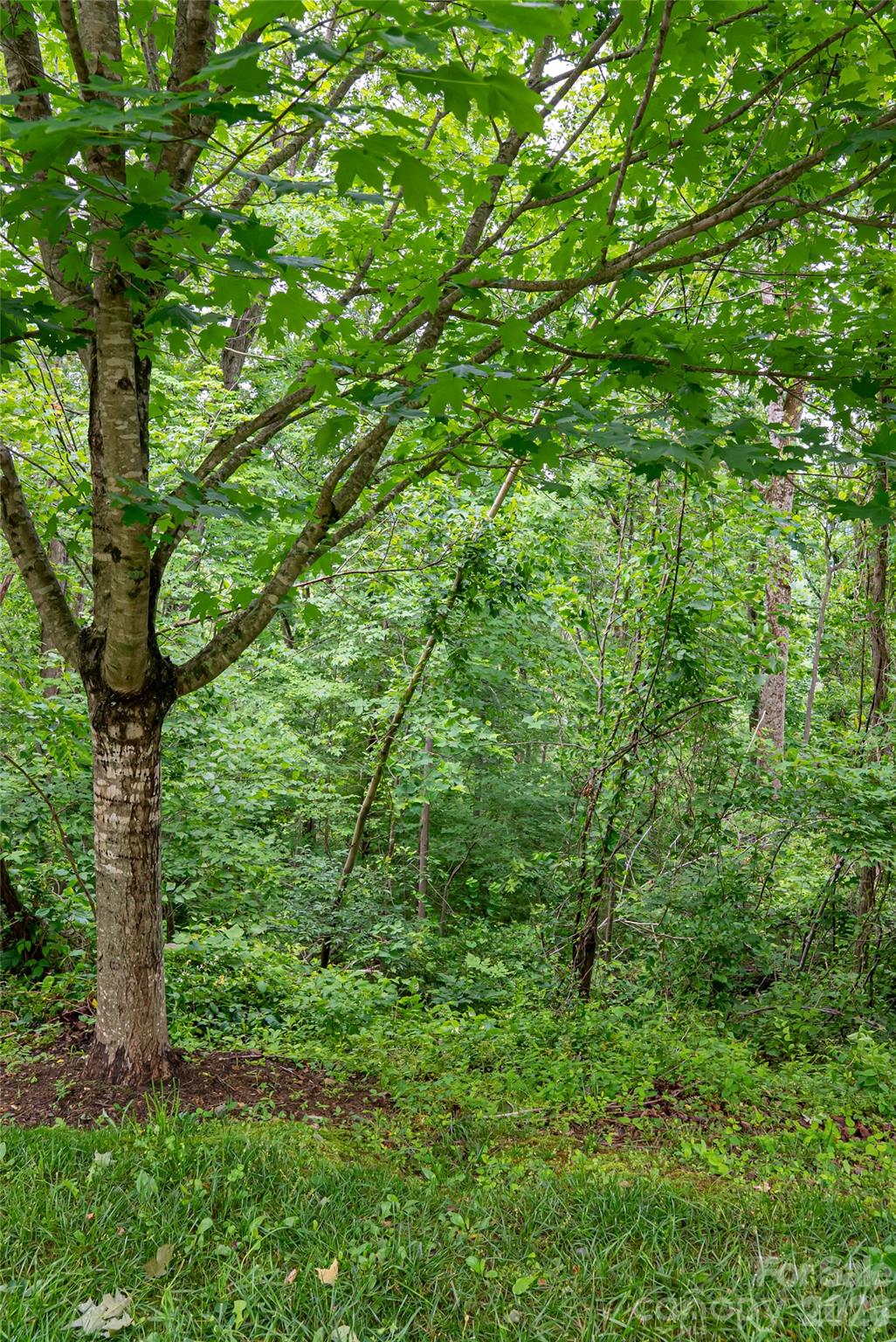 22 Samuel Ashe Drive Asheville NC 28805