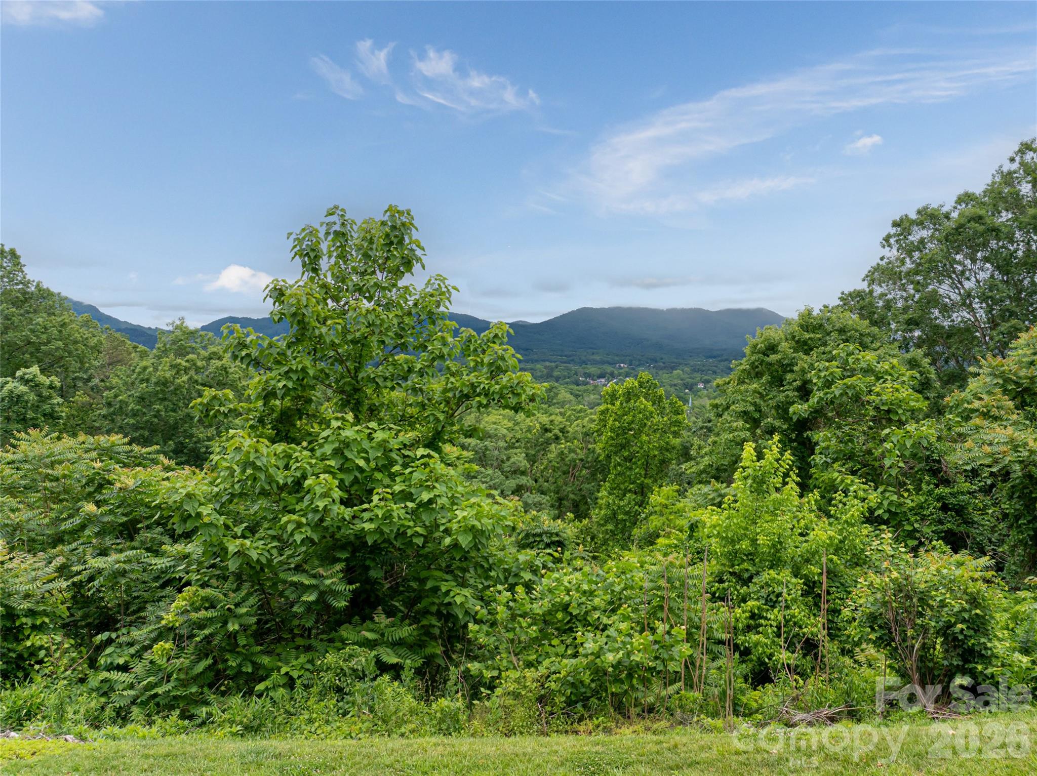 22 Samuel Ashe Drive Asheville NC 28805