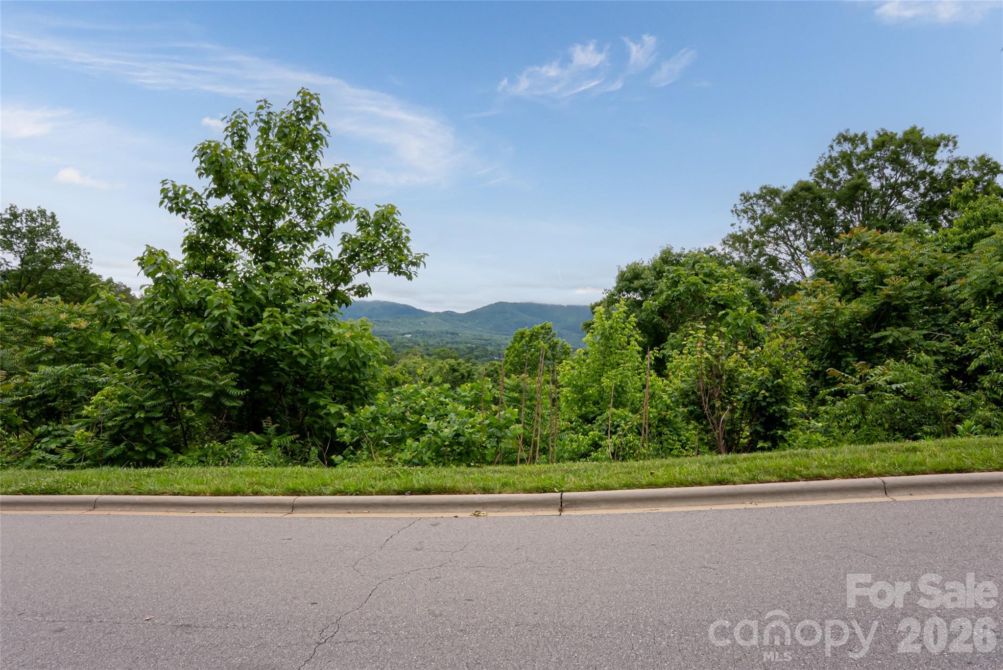 22 Samuel Ashe Drive Asheville NC 28805