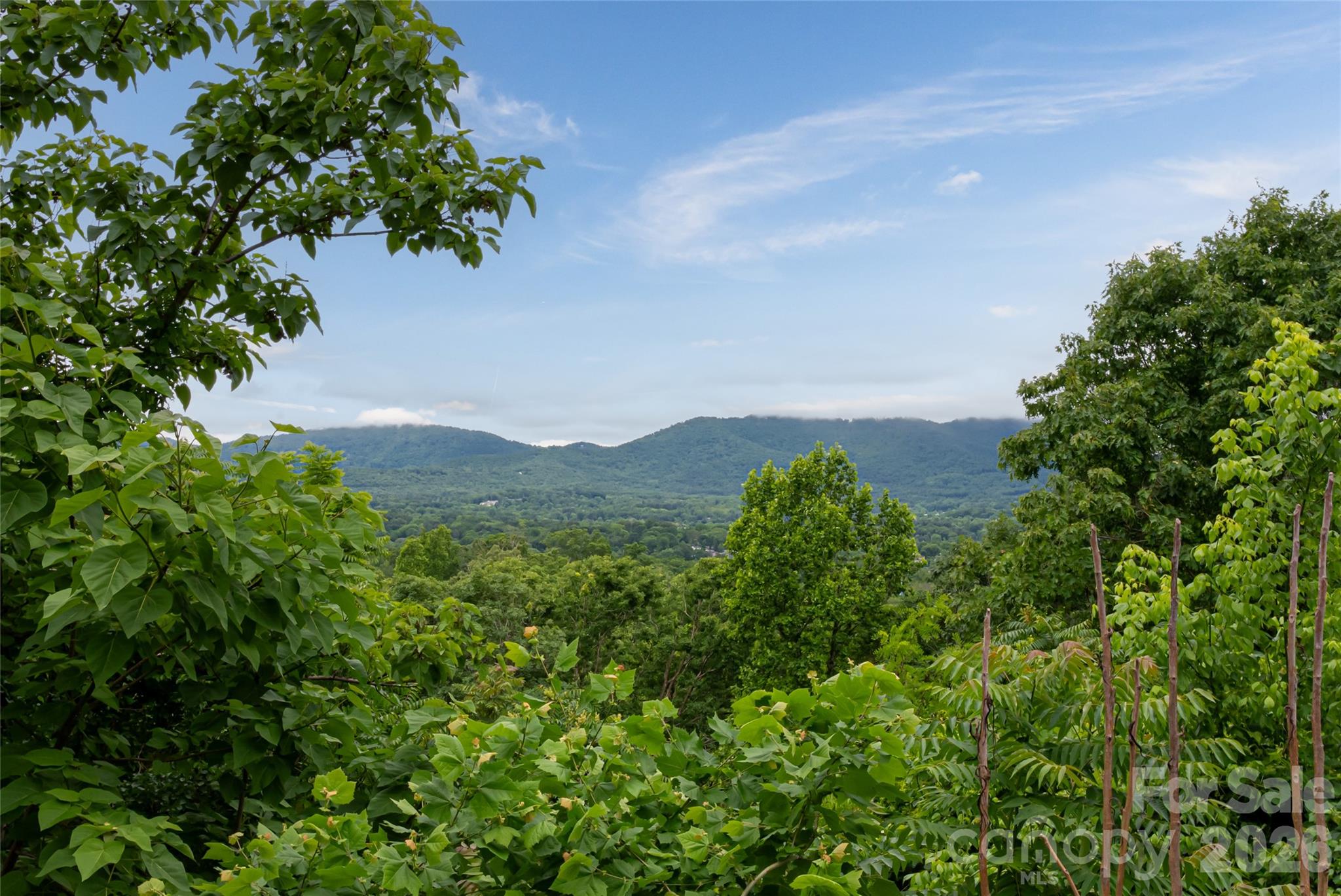 22 Samuel Ashe Drive Asheville NC 28805