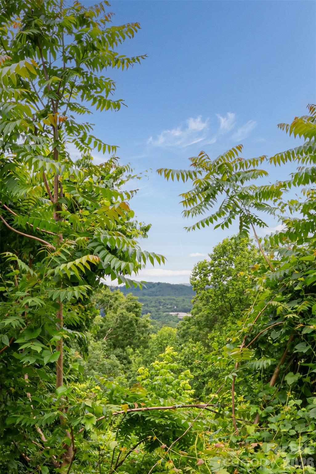 22 Samuel Ashe Drive Asheville NC 28805