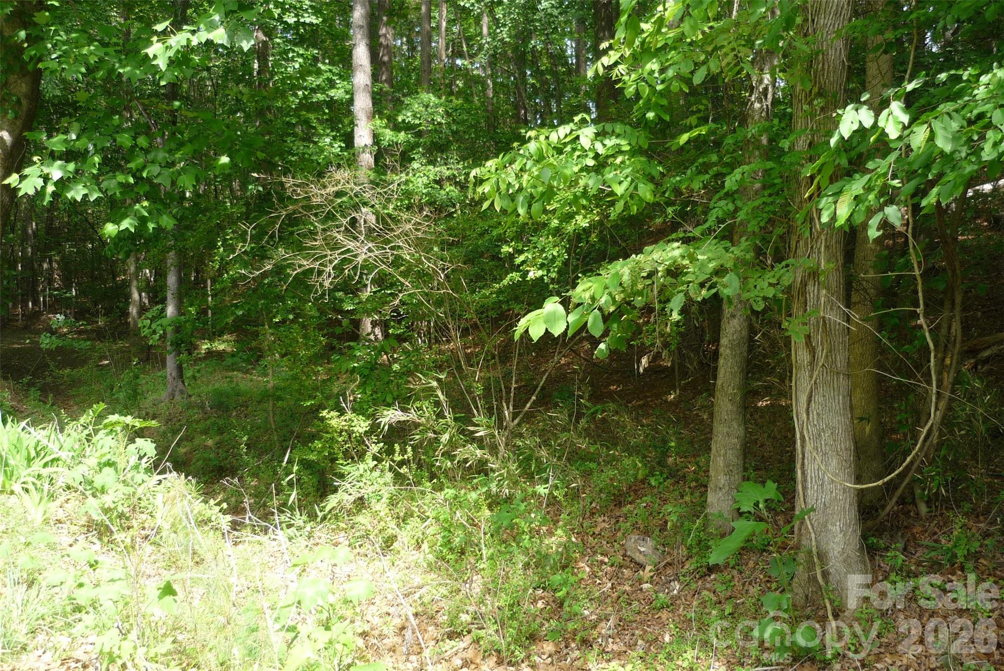 158 Southern Horizon Drive Statesville NC 28677