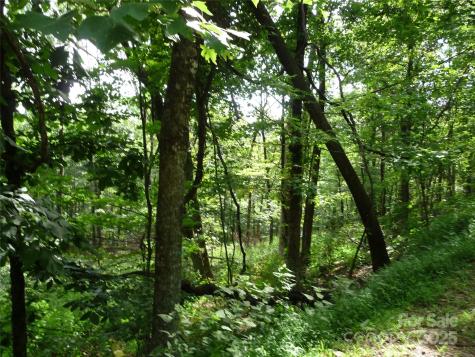 Lot 12 Sunset Ridge Drive Columbus NC 28722