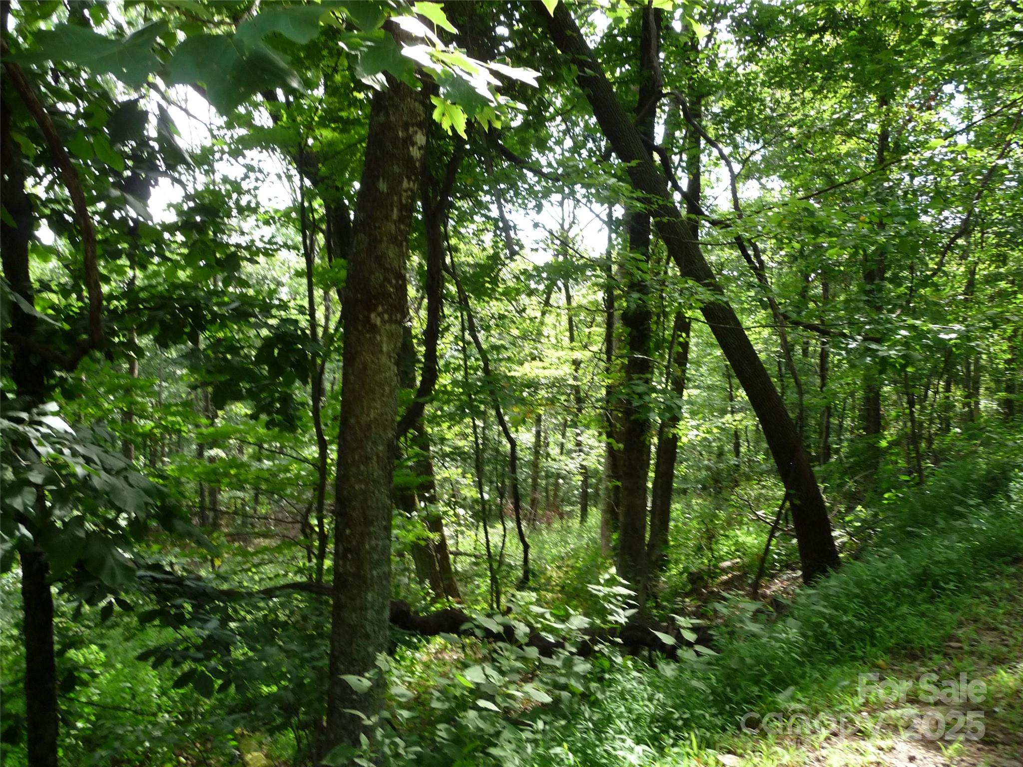 Lot 12 Sunset Ridge Drive Columbus NC 28722