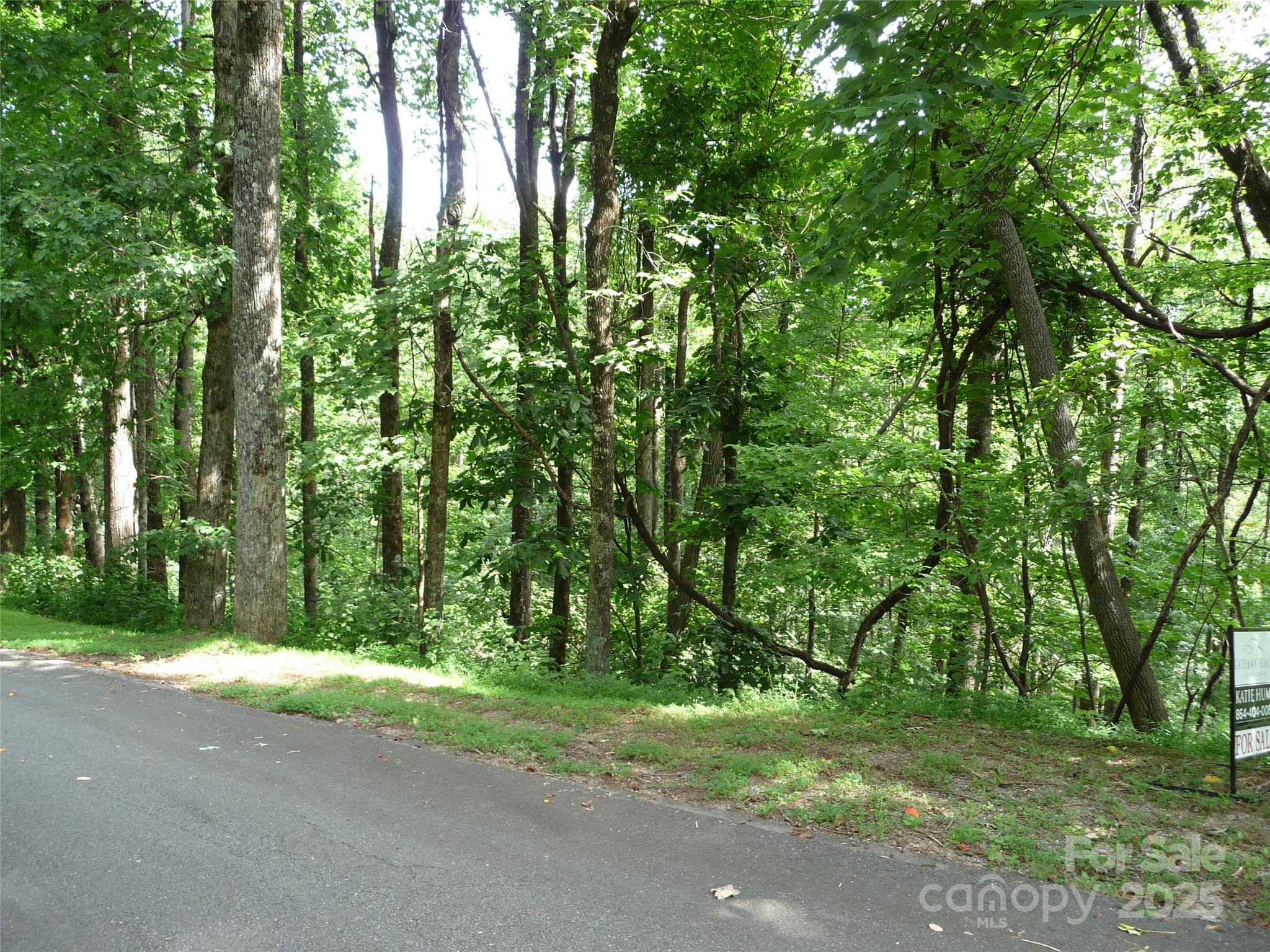 Lot 12 Sunset Ridge Drive Columbus NC 28722