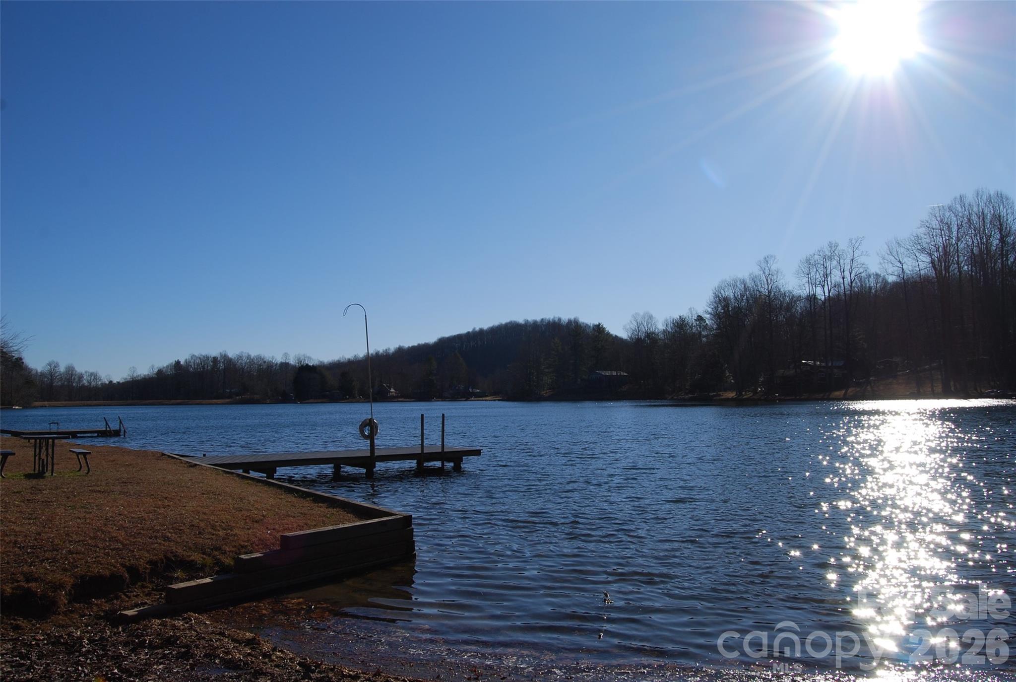 87 Pole Cat Road Saluda NC 28773