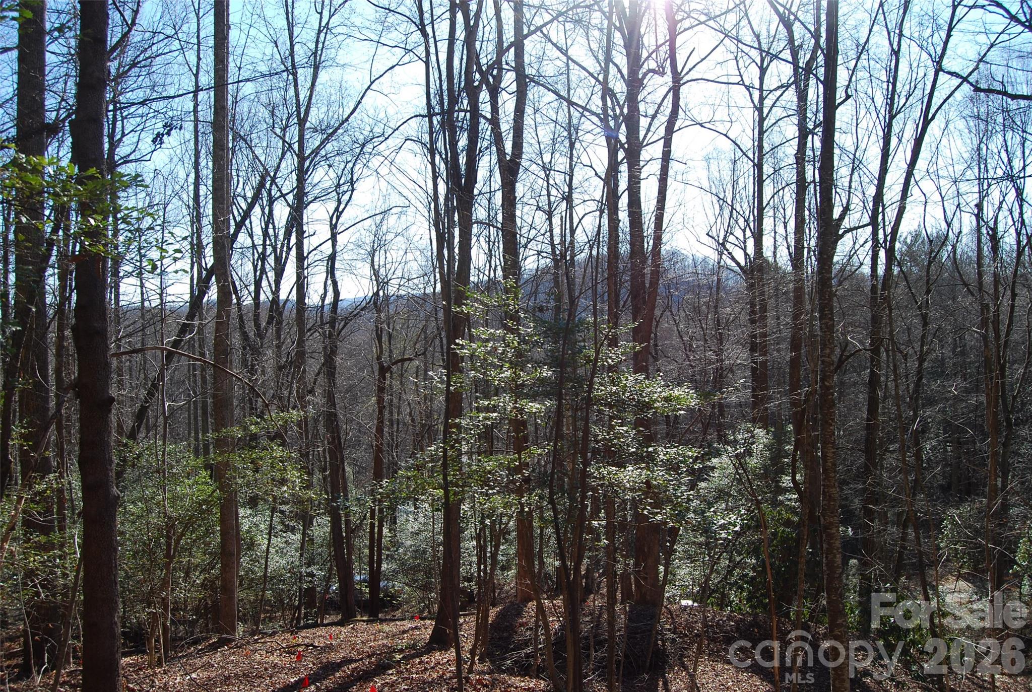 87 Pole Cat Road Saluda NC 28773