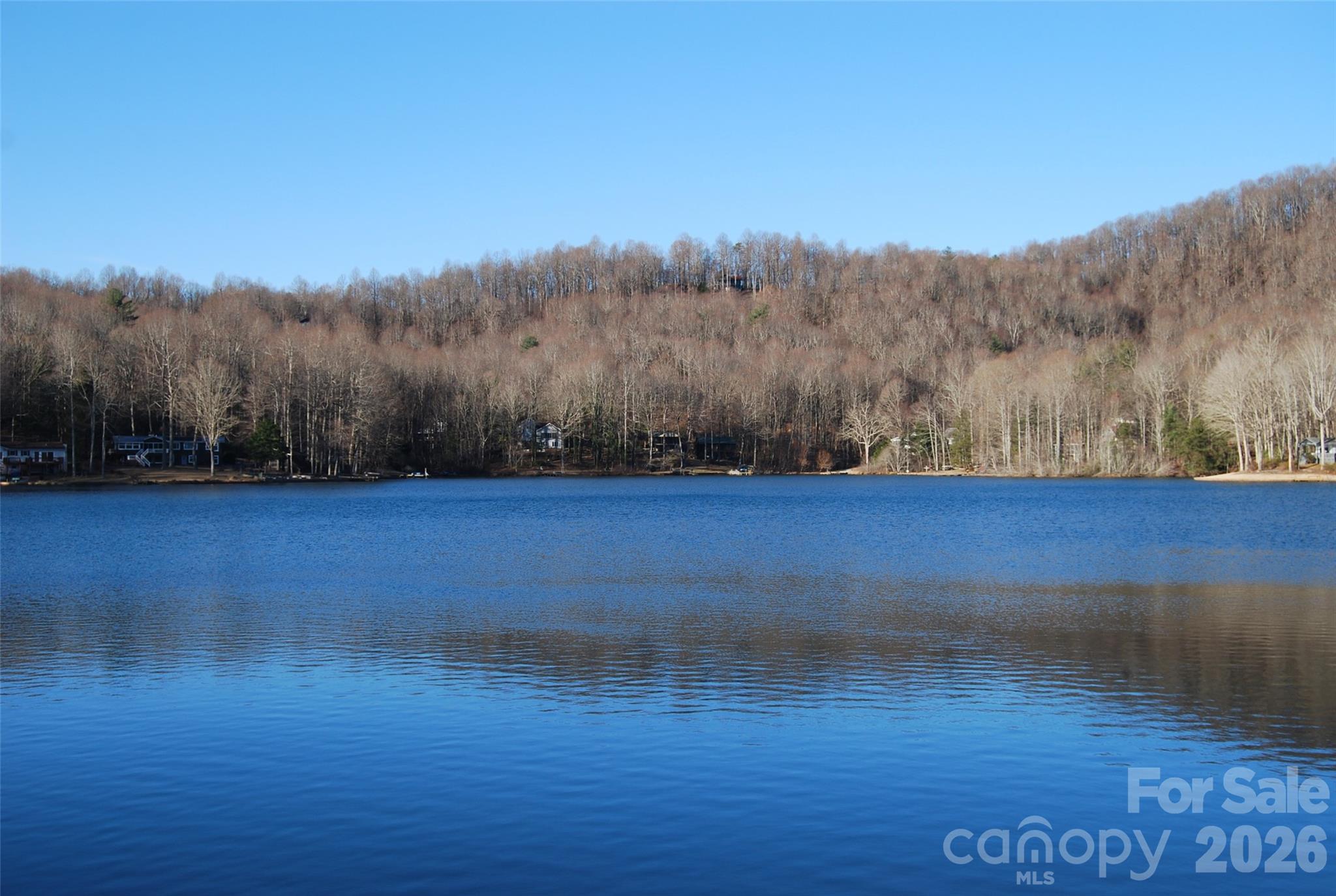 87 Pole Cat Road Saluda NC 28773