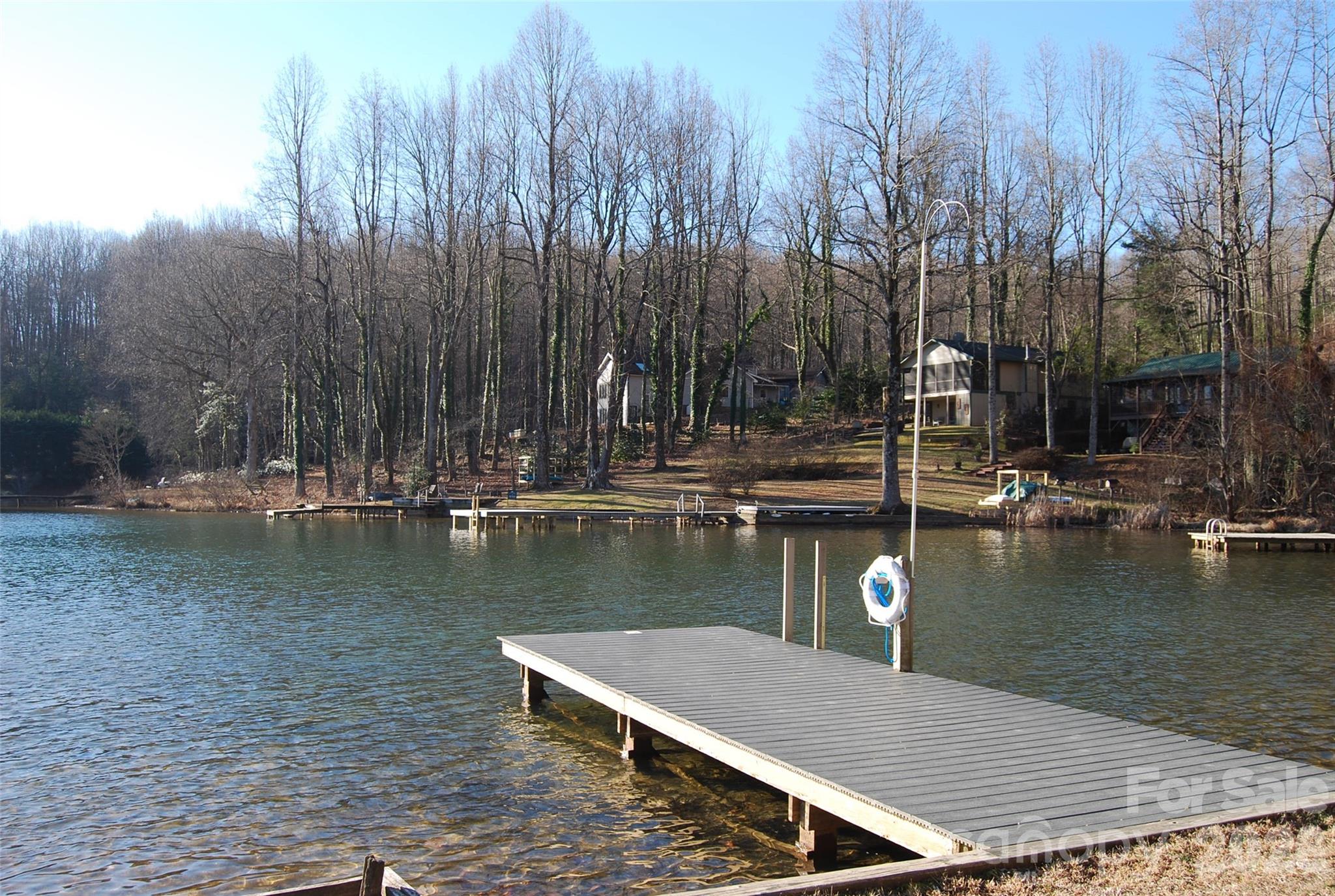 87 Pole Cat Road Saluda NC 28773