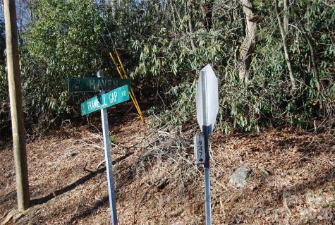 87 Pole Cat Road Saluda NC 28773
