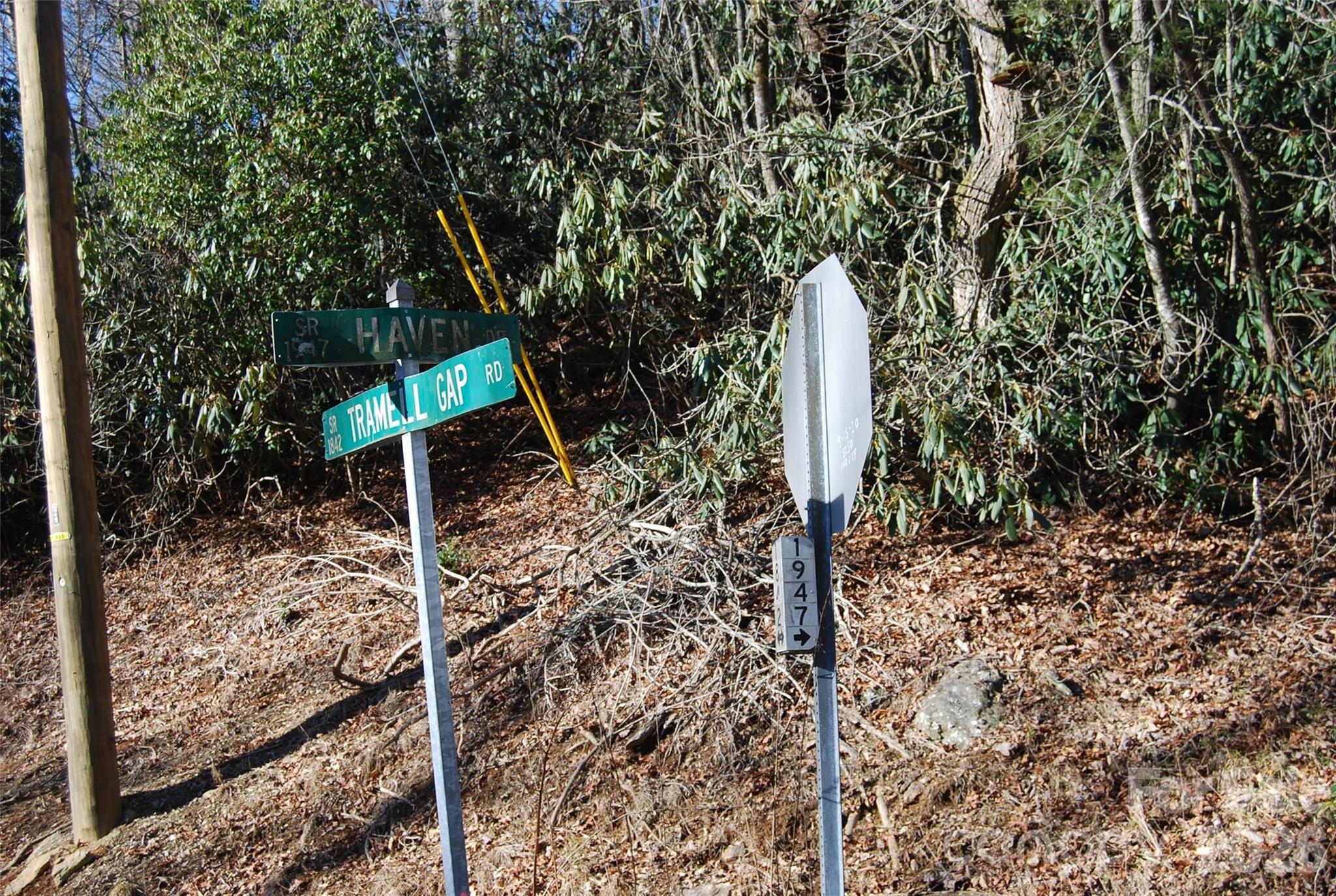 87 Pole Cat Road Saluda NC 28773