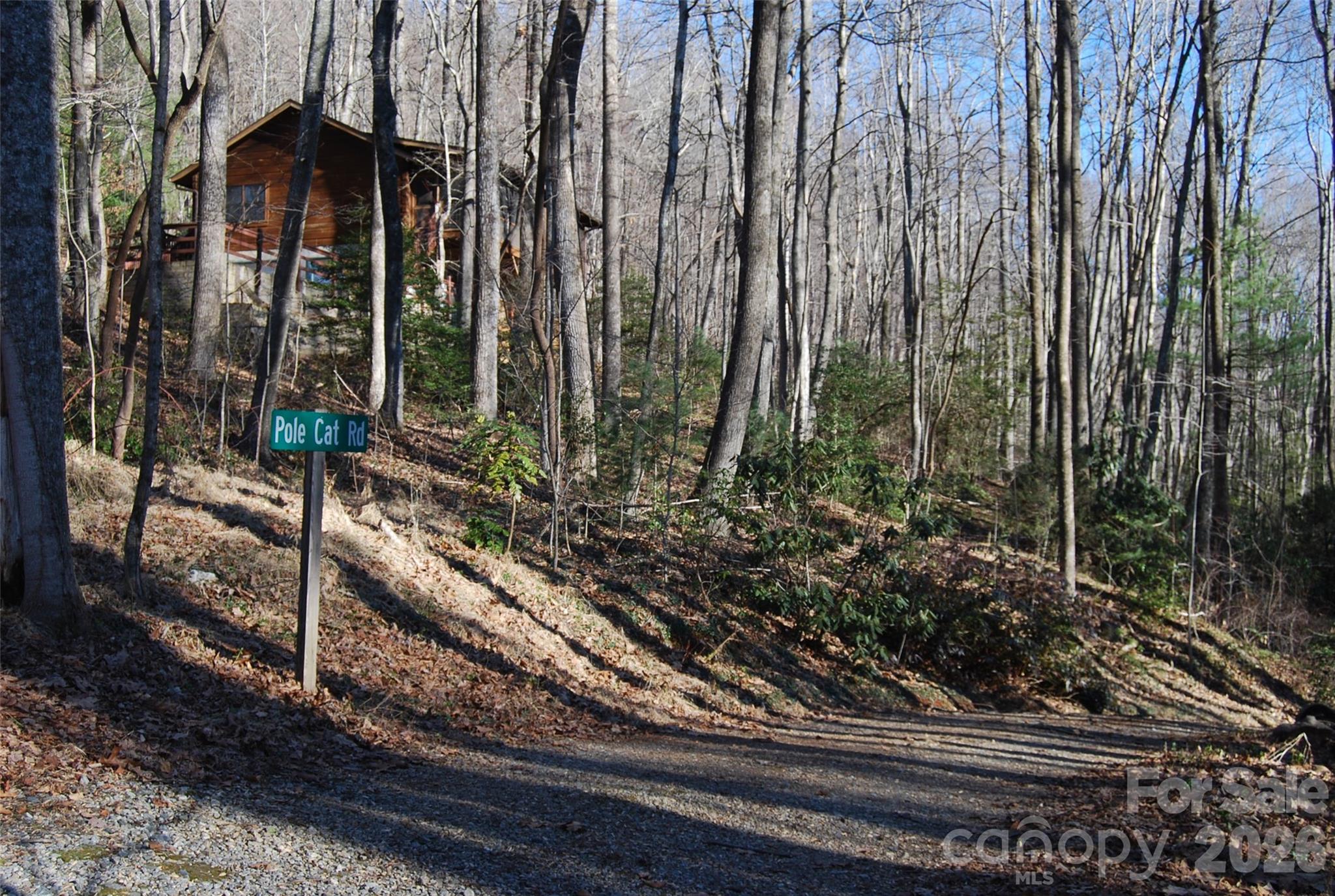 87 Pole Cat Road Saluda NC 28773