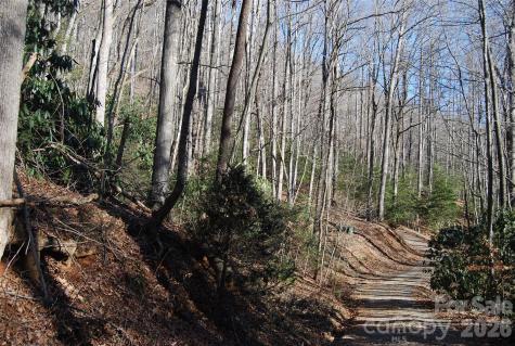 87 Pole Cat Road Saluda NC 28773