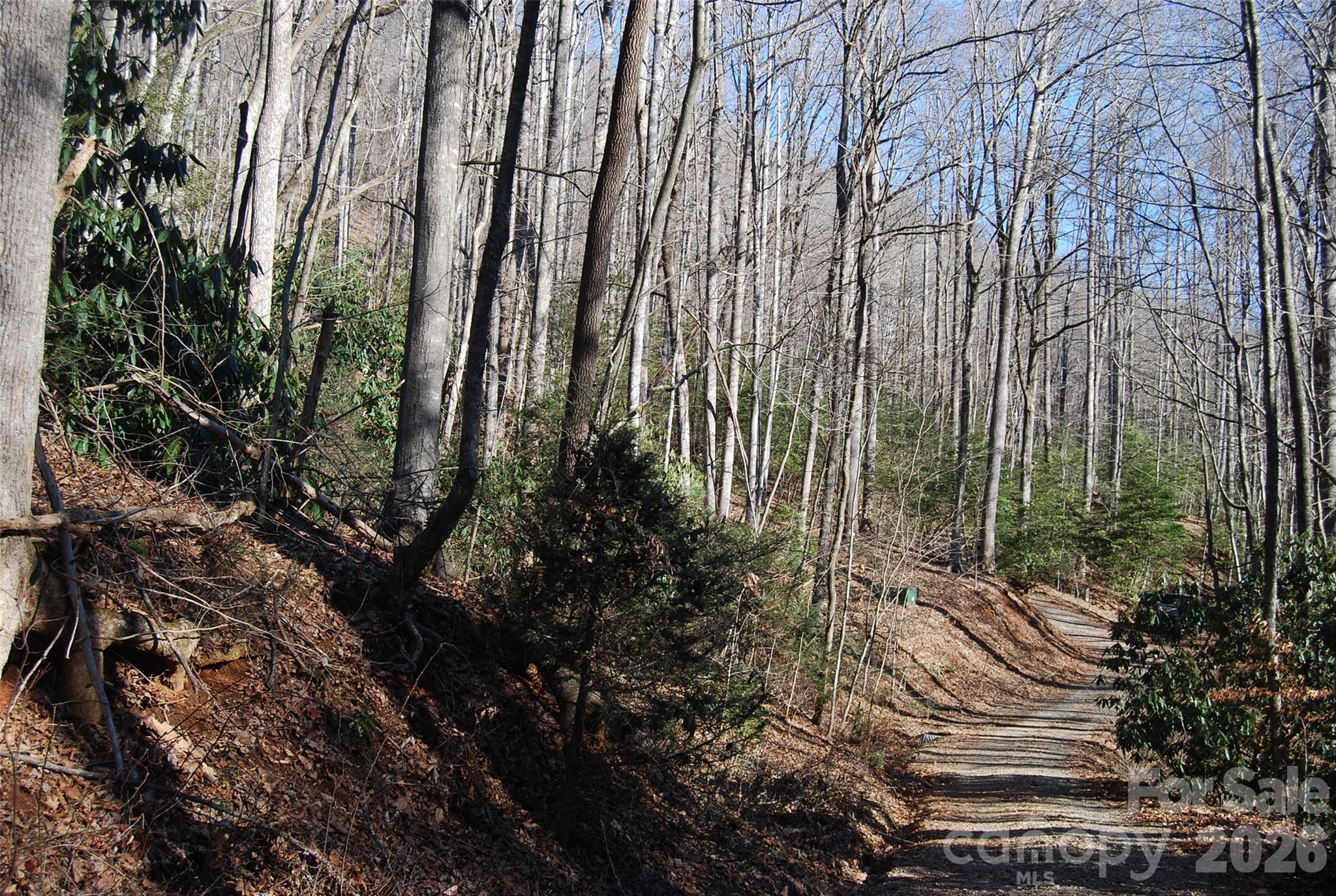 87 Pole Cat Road Saluda NC 28773