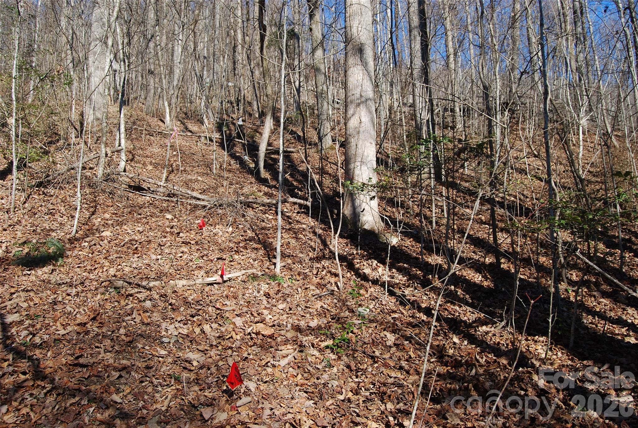 87 Pole Cat Road Saluda NC 28773