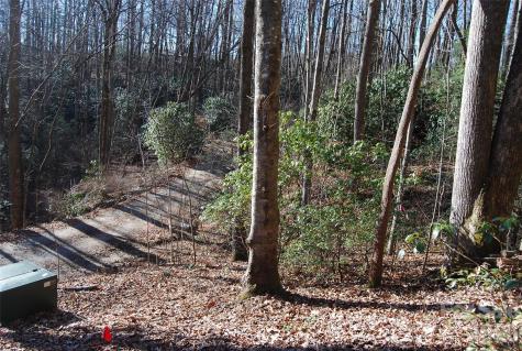 87 Pole Cat Road Saluda NC 28773