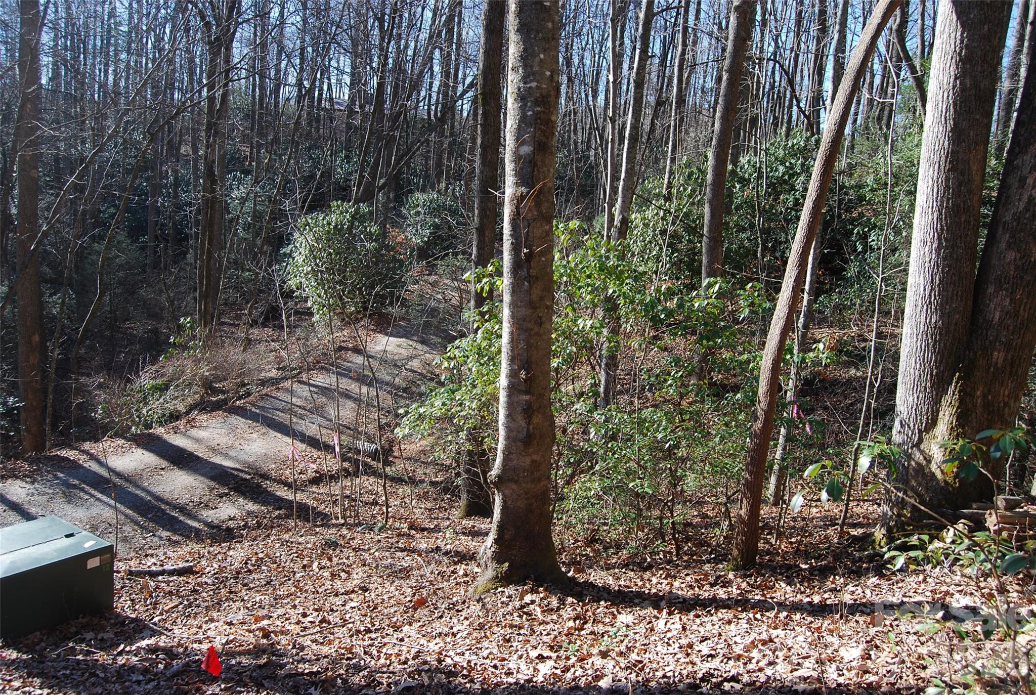 87 Pole Cat Road Saluda NC 28773