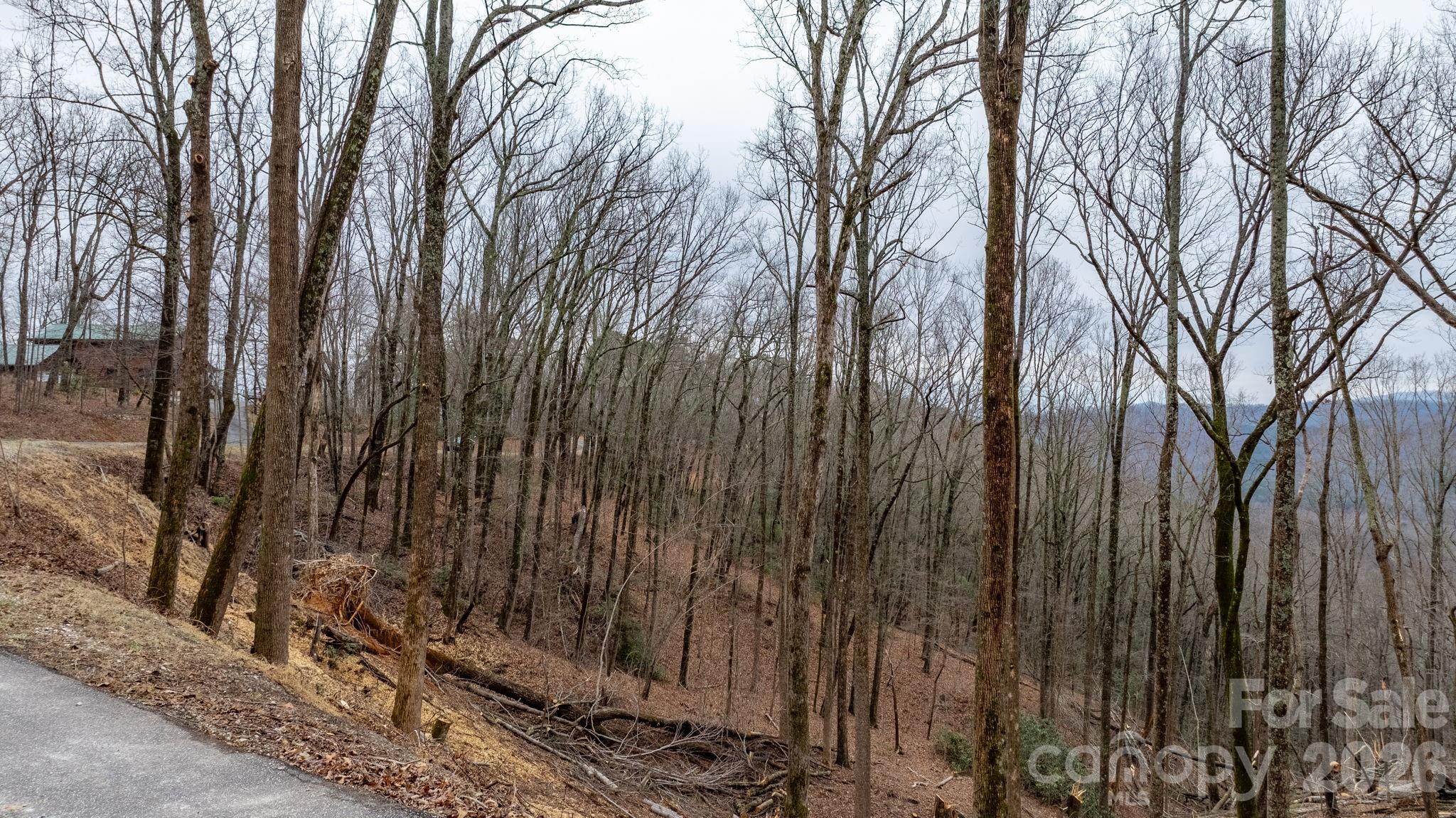 0 Mountain Crest Drive S Marion NC 28752