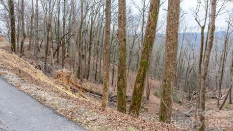0 Mountain Crest Drive S Marion NC 28752