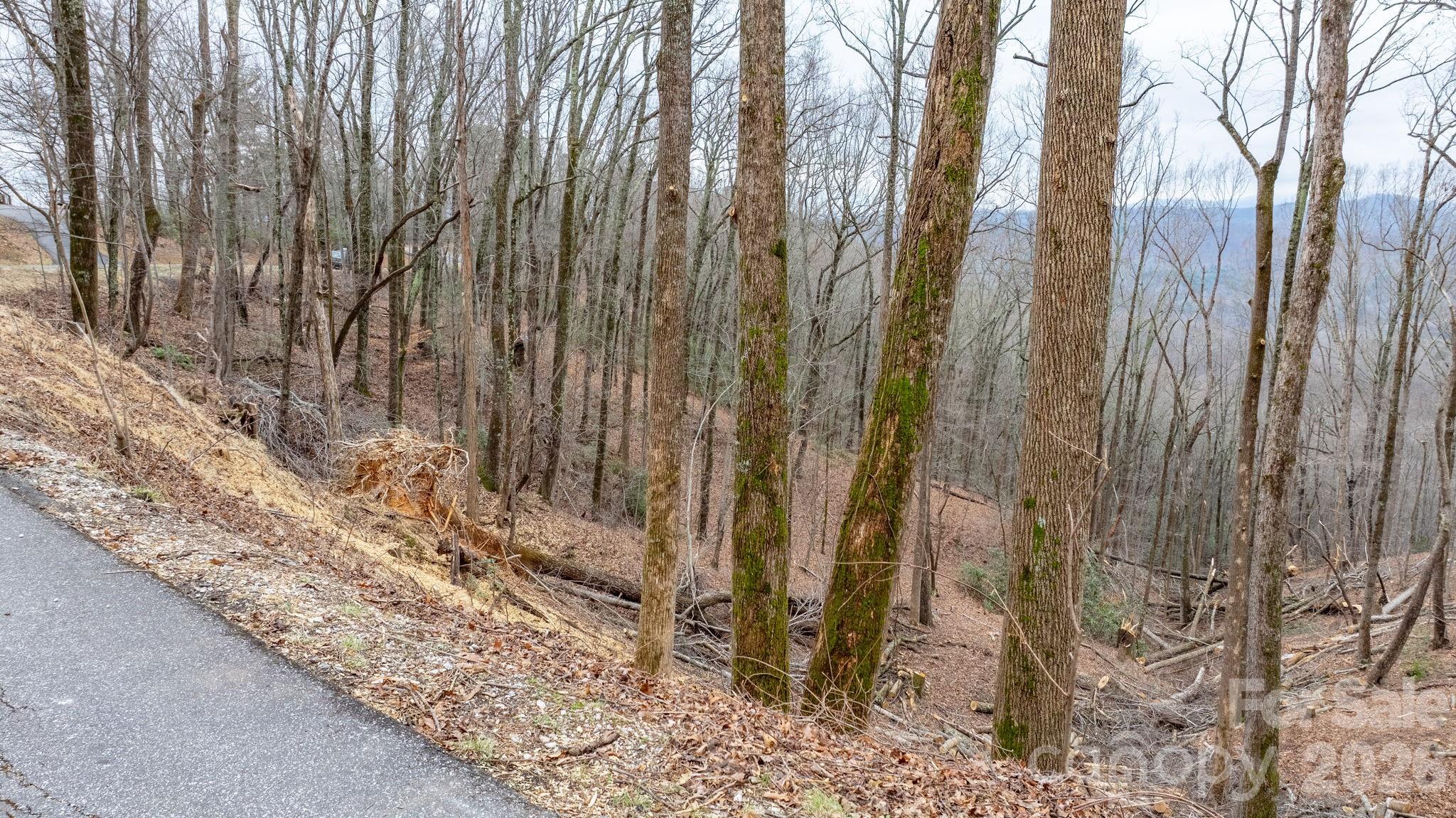 0 Mountain Crest Drive S Marion NC 28752