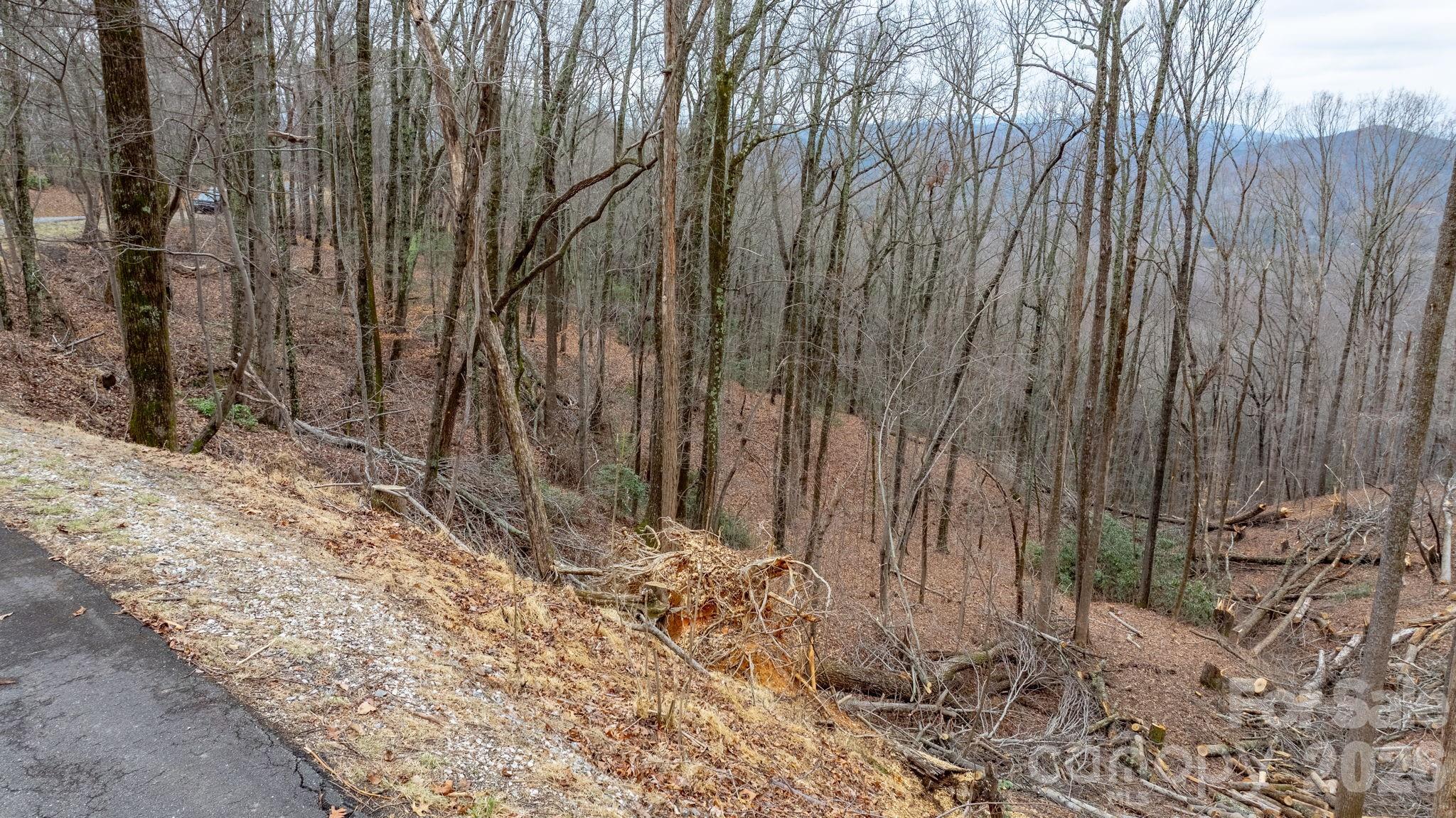 0 Mountain Crest Drive S Marion NC 28752