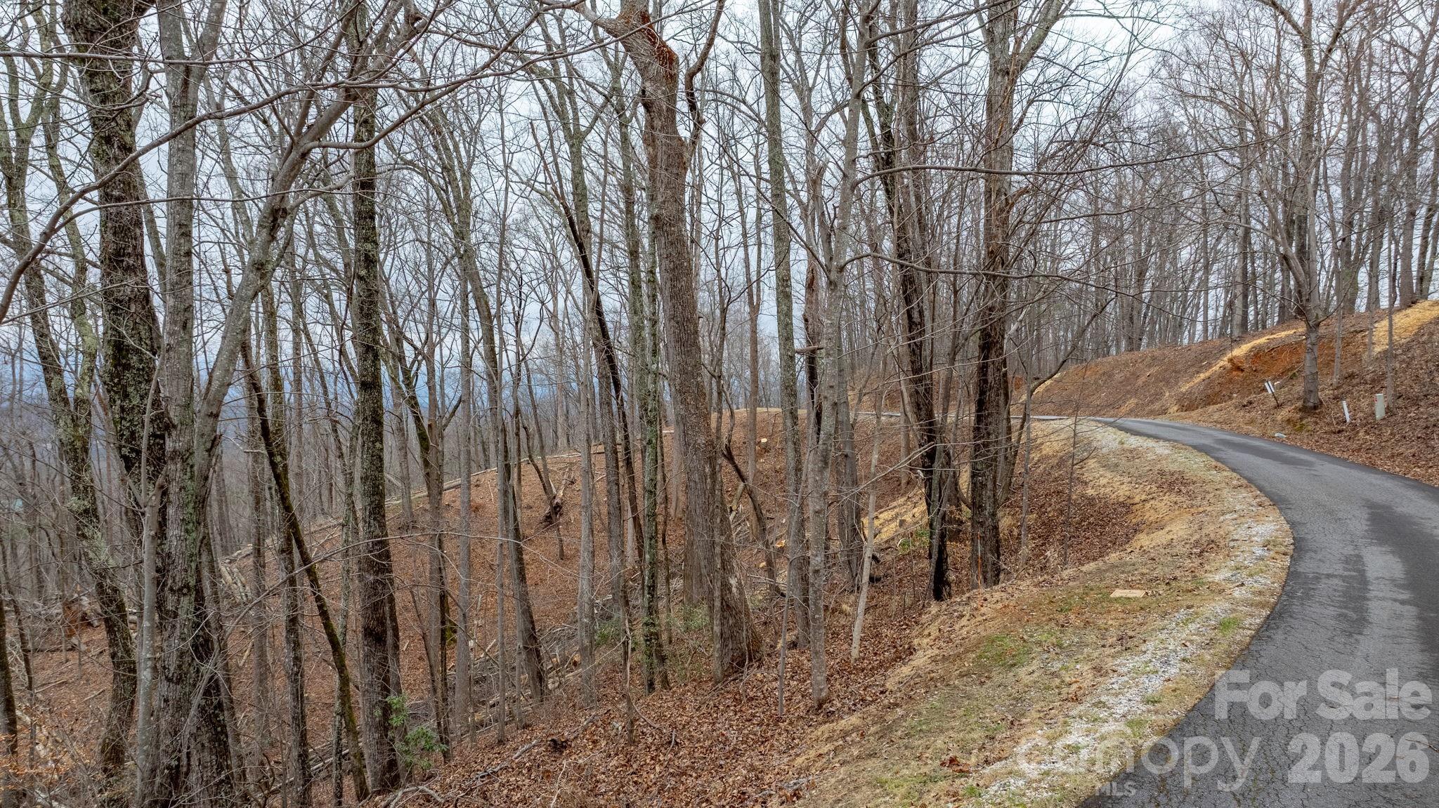 0 Mountain Crest Drive S Marion NC 28752