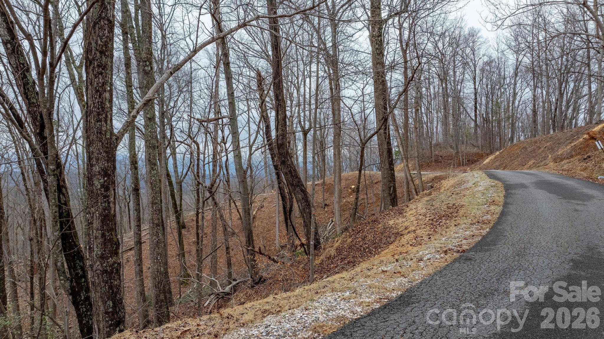 0 Mountain Crest Drive S Marion NC 28752