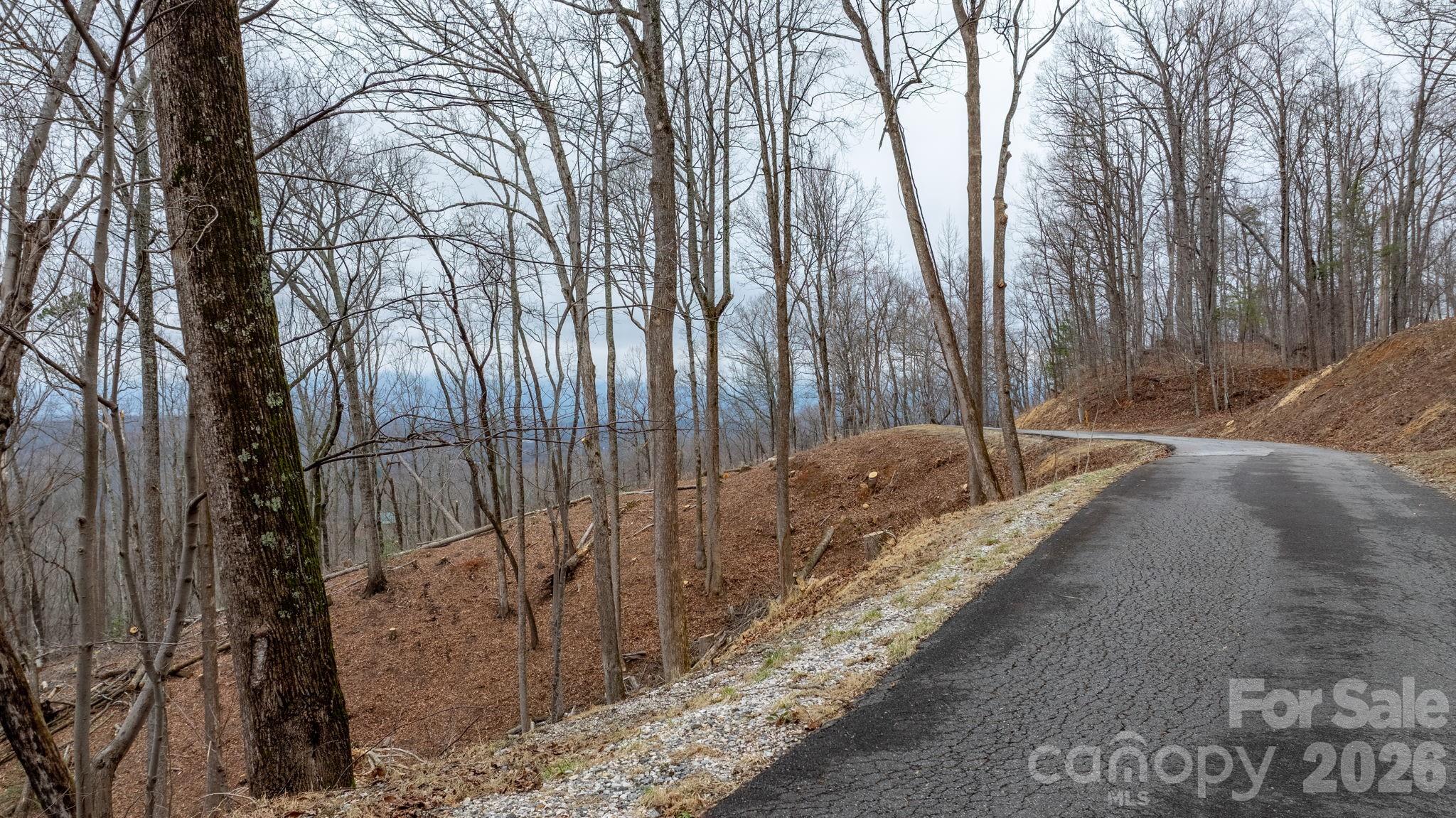 0 Mountain Crest Drive S Marion NC 28752