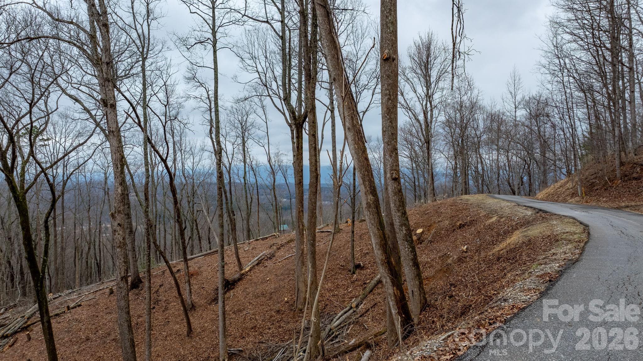 0 Mountain Crest Drive S Marion NC 28752
